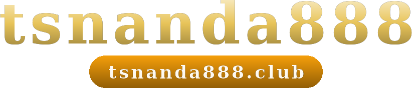 tsnanda888 logo